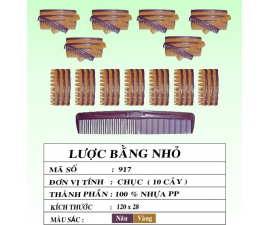 LƯỢC BẰNG NHỎ