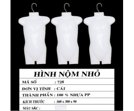 HÌNH NỘM NHỎ
