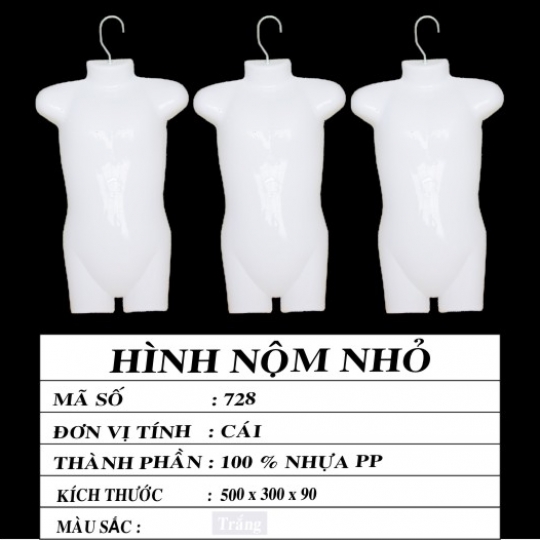 HÌNH NỘM NHỎ