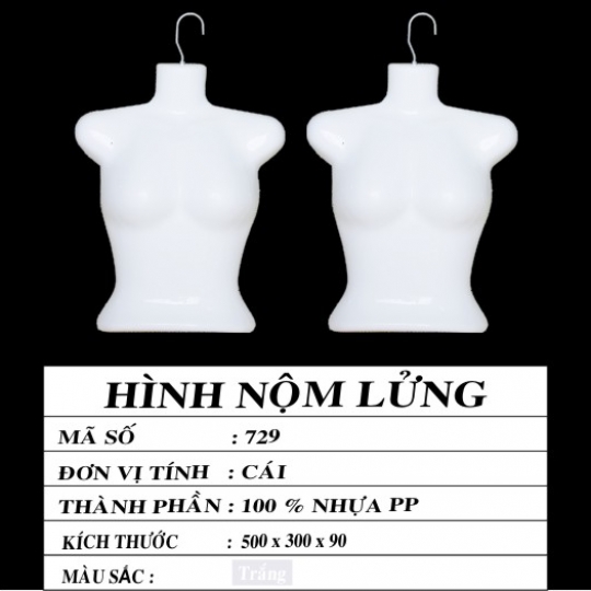 HÌNH NỘM LỬNG