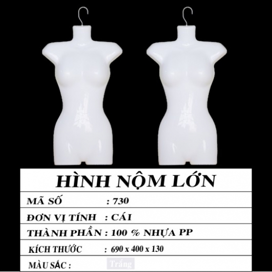 HÌNH NỘM LỚN